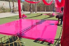 pista-de-baile-charol-rosa-fiusha-fiucsa