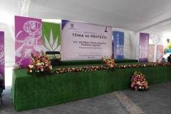 templete-pasto-alfombra-para-toma-de-protesta
